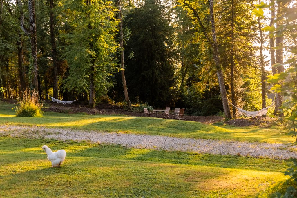Golden sunset over the gardens of Château Guillermo in the French Ardennes, with hammocks between trees and a white chicken walking across the lawn.